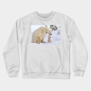 Mother polar bear & her two cubs Crewneck Sweatshirt